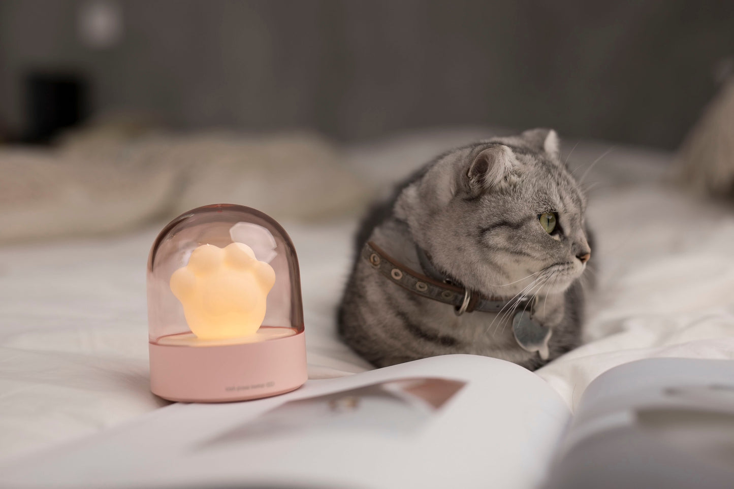 Cute Cat Claw 3D Night Light eprolo